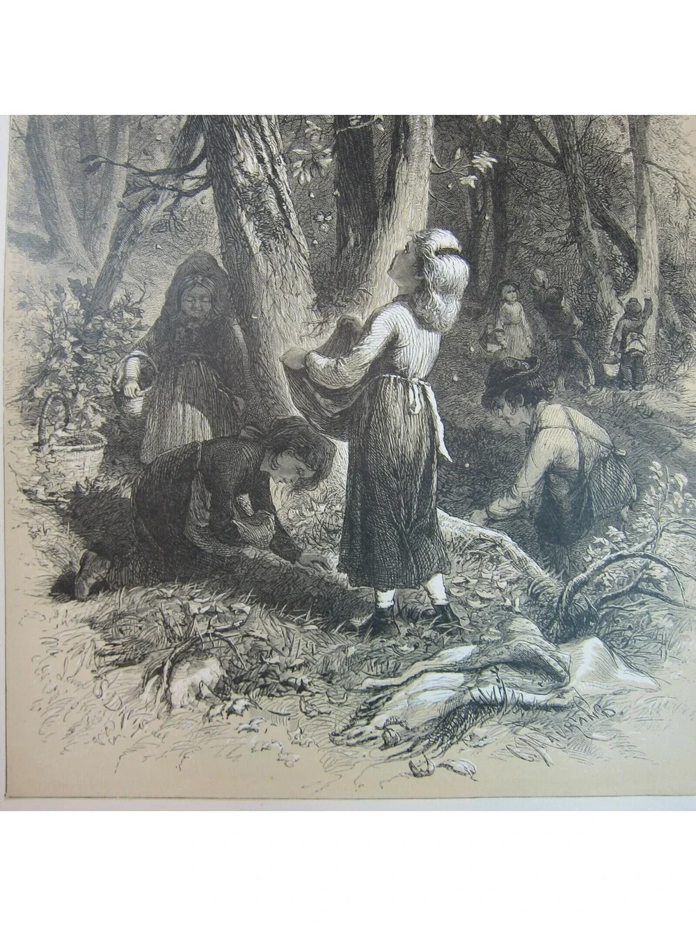 Antique 1873 Wood Engraving Print Nutting by John S. Davis, The Aldine, Children